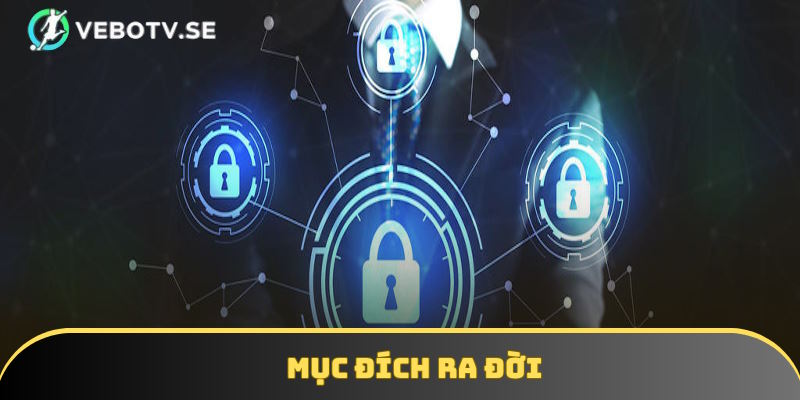Lý do Vebotv quyết định tạo chính sách bảo mật