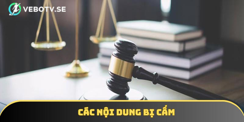 Điều khoản Vebotv nêu rõ các nội dung bị nghiêm cấm