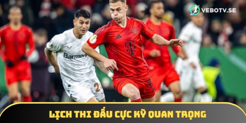 Chuyên mục là công cụ quan trọng với mọi fan hâm mộ bóng đá