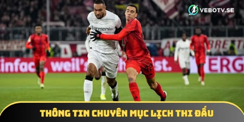 Khám phá các nội dung quan trọng về chuyên mục lịch thi đấu