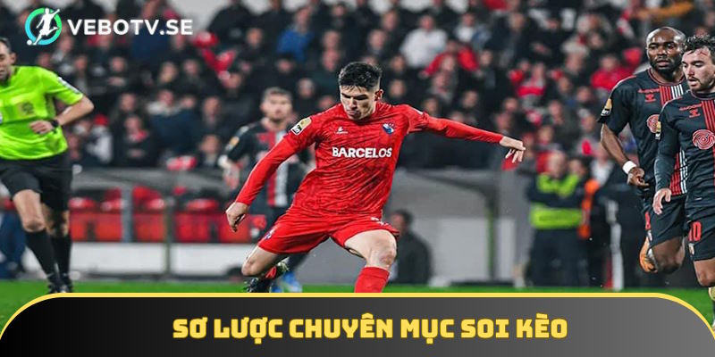 Diễn giải khái niệm mục soi kèo tại Vebotv