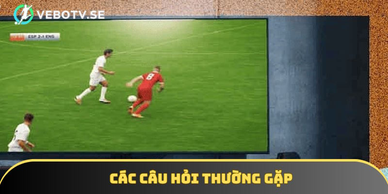 Tổng hợp các thắc mắc của hội viên Vebotv