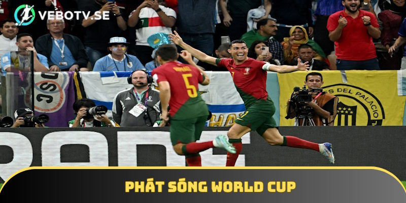 Phát sóng các cuộc thi liên quan đến World Cup