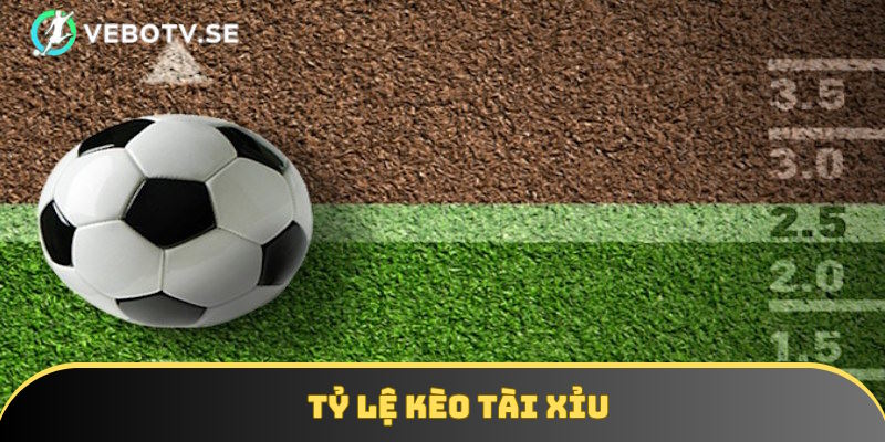 Phổ cập kiến thức về tỷ lệ kèo tài xỉu