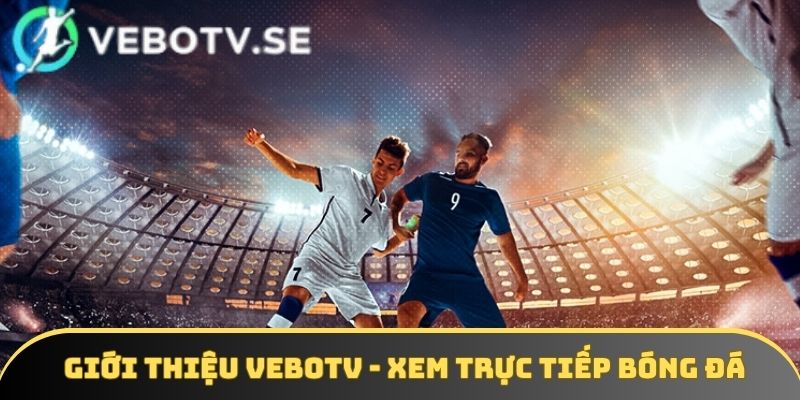 Sơ lược về Vebotv